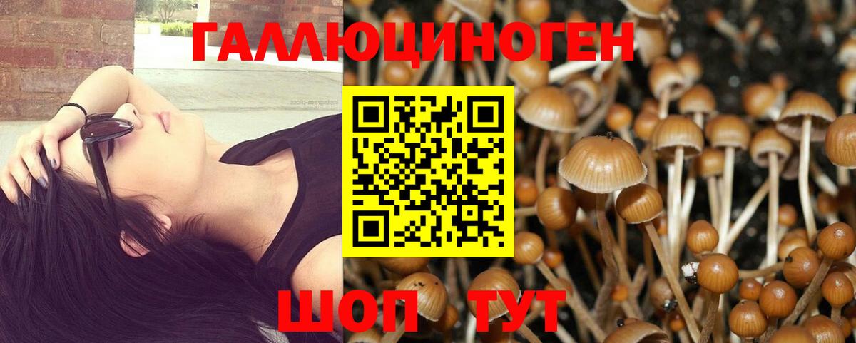 Каннабис  Вход с VPN  МАРИХУАНА  NBOMe  Гашиш  Меф МЯУ МЯУ кристаллы  Апатиты  COCAIN 